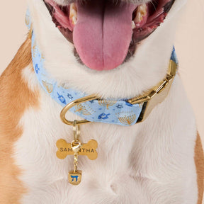 The Foggy Dog - Collar Charm Dreidel