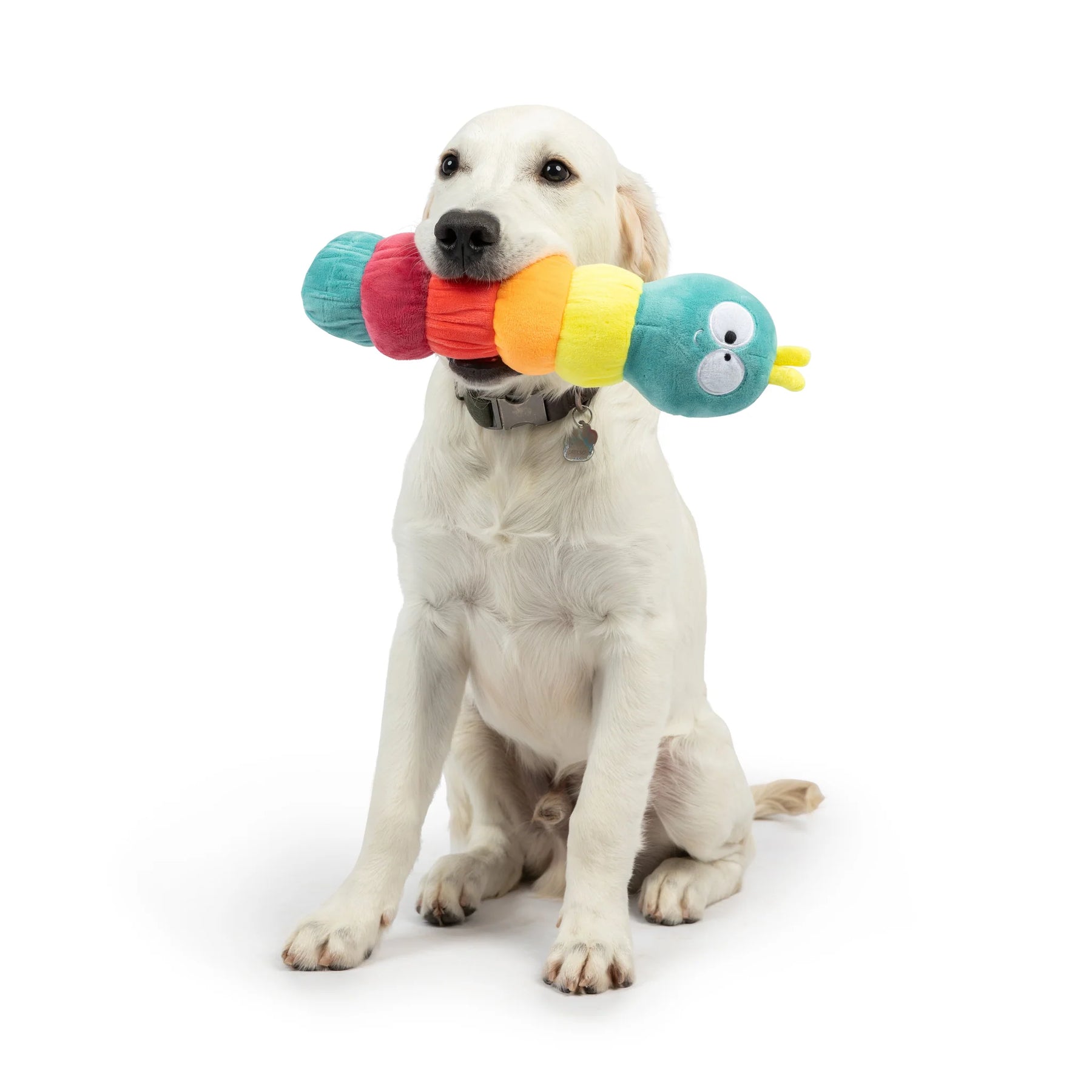 Huxley & Kent - Dog Toy Fetchies Caterpillar