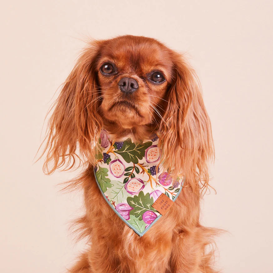 The Foggy Dog - Bandana Dog Figs & Berries