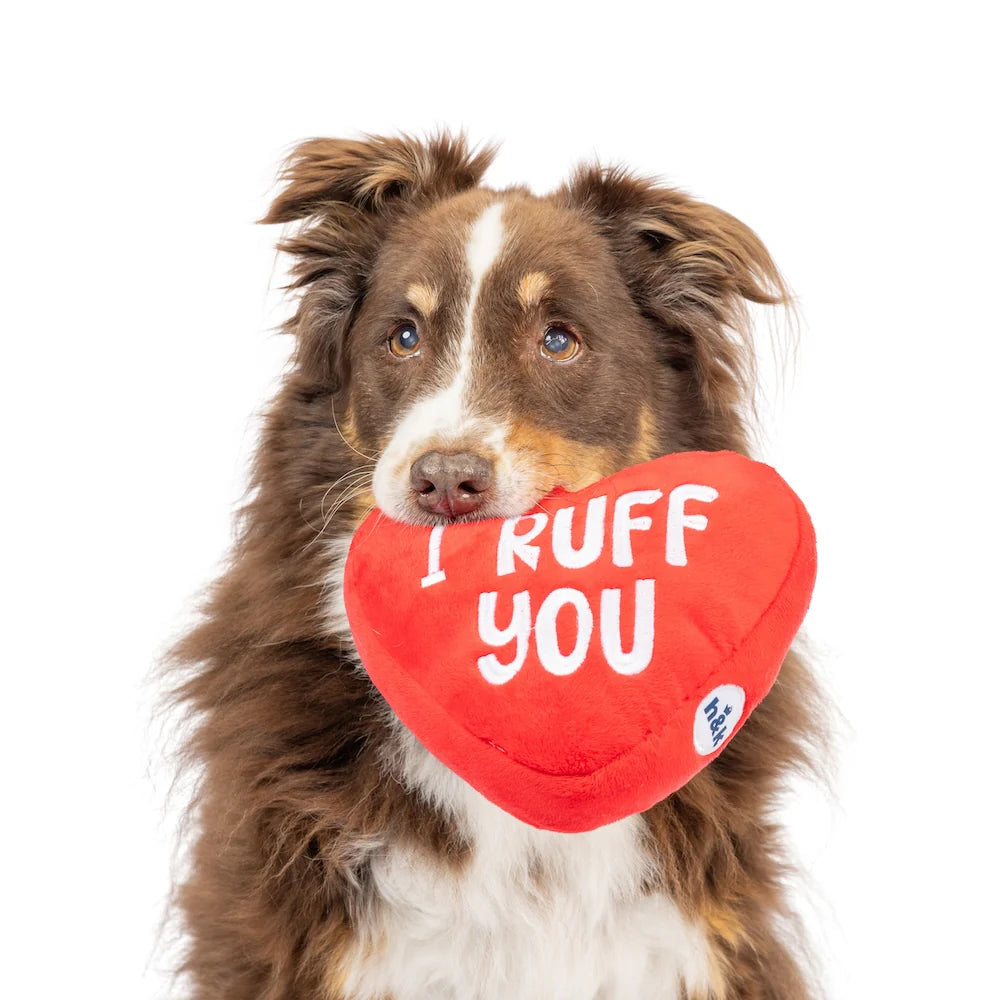 Huxley & Kent - Dog Toy First Lick Heart