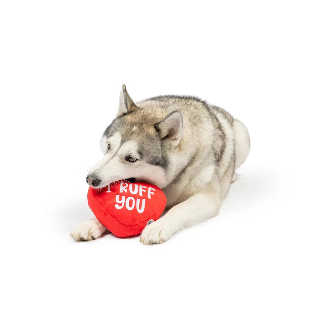 Huxley & Kent - Dog Toy First Lick Heart