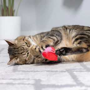 Huxley & Kent - Cat Toy First Lick Heart & Be Mine Coffee
