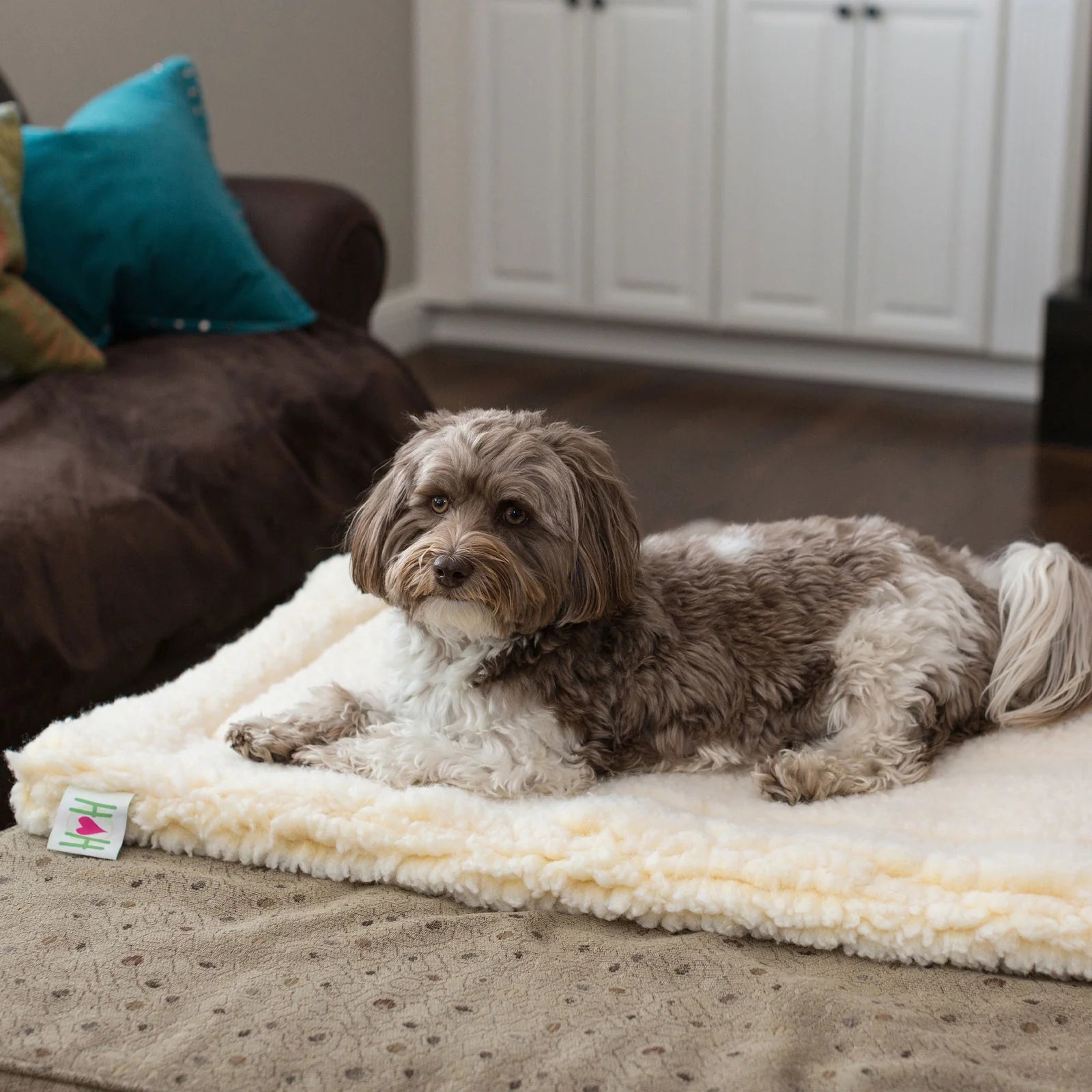 Huggle Hounds - HuggleMat Gray - Southern Agriculture 