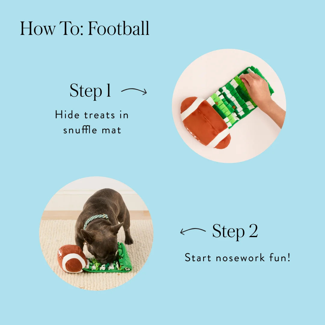 The Foggy Dog - Dog Toy Football Interactive