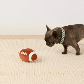 The Foggy Dog - Dog Toy Football Interactive