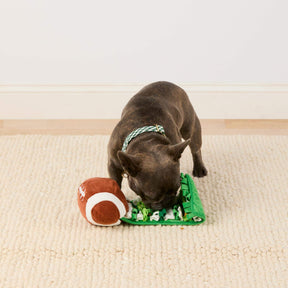 The Foggy Dog - Dog Toy Football Interactive