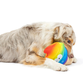 Huxley & Kent - Fro-Yo Pride Cone (DoubleSided) for Dogs - Southern Agriculture 
