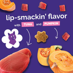 Fruitables - Tuna Pumpkin Cat Treats