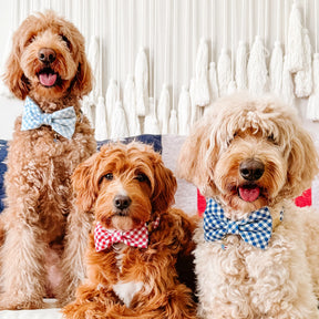 The Foggy Dog - Dog Bow Tie Red Gingham