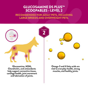 NaturVet - Scoopables Glucosamine DS Plus Moderate Joint Care+Omega - Southern Agriculture 