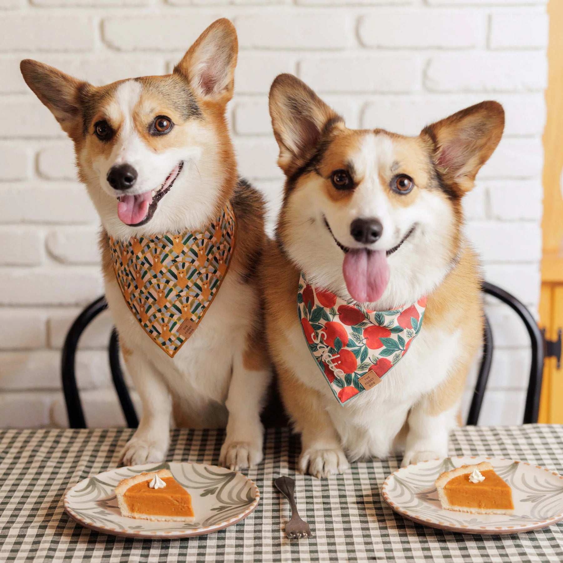 The Foggy Dog - Bandana Gobble Gobble