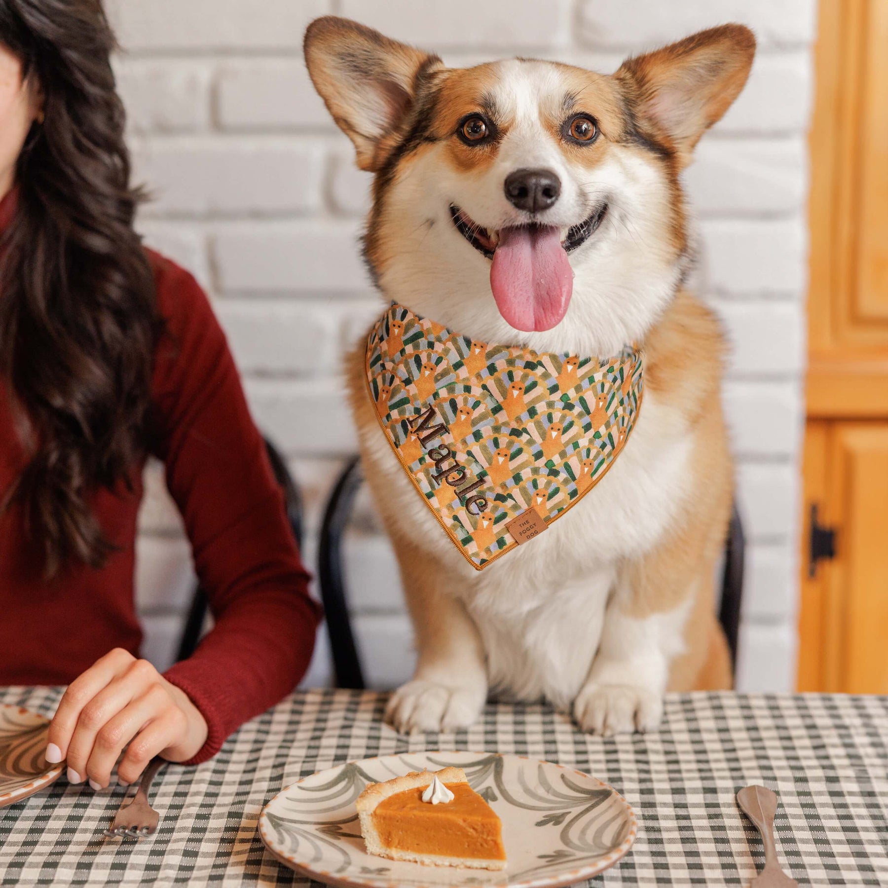 The Foggy Dog - Bandana Gobble Gobble