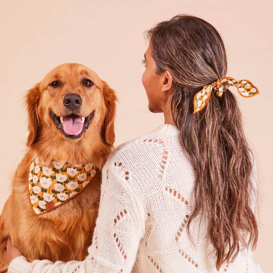 The Foggy Dog - Bandana Dog Goldenflowers