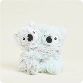 Warmies Koala Hugs - Southern Agriculture 