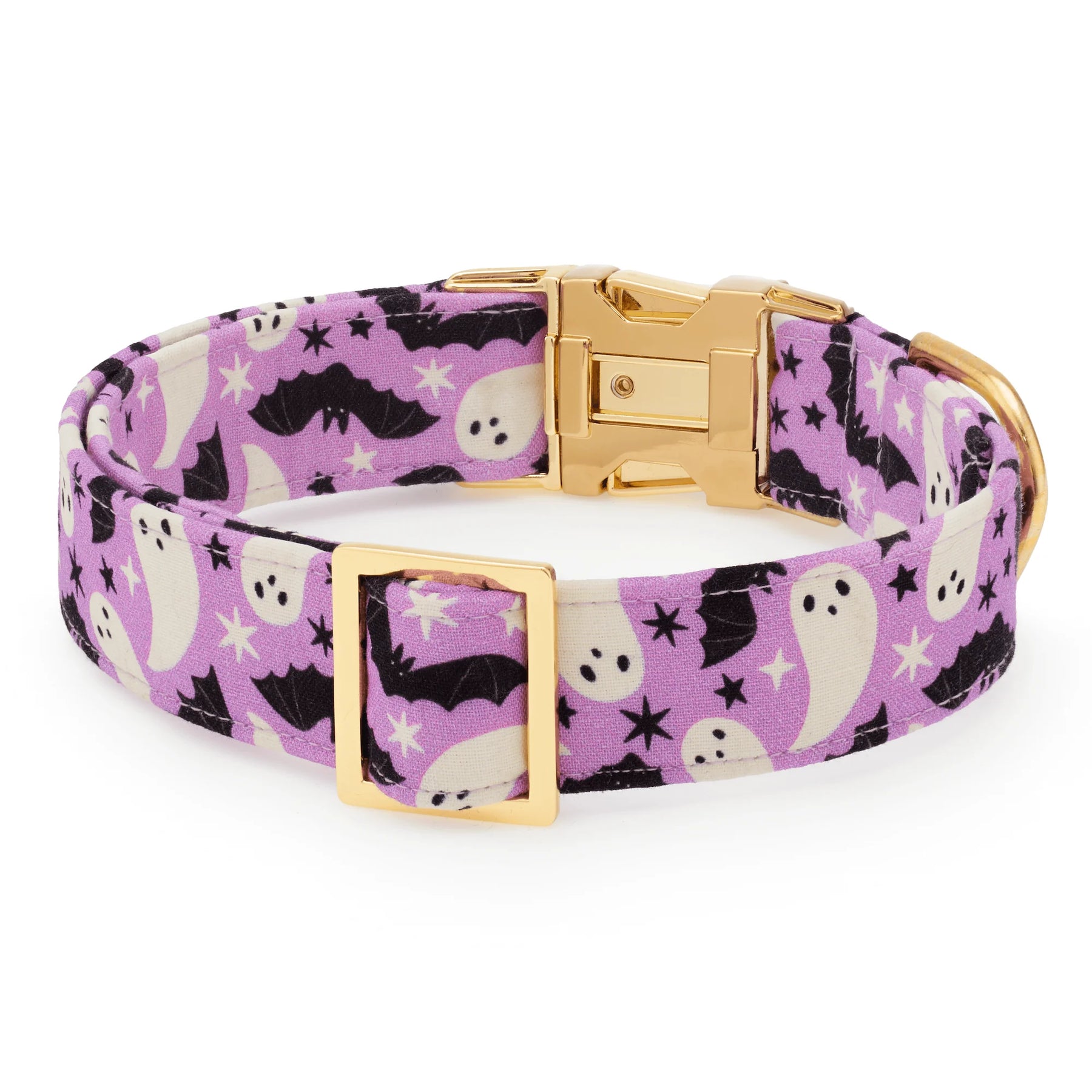 The Foggy Dog - Dog Collar Spooky Season Glow In the Dark