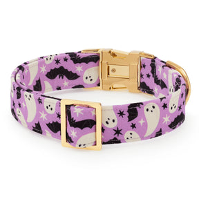 The Foggy Dog - Dog Collar Spooky Season Glow In the Dark