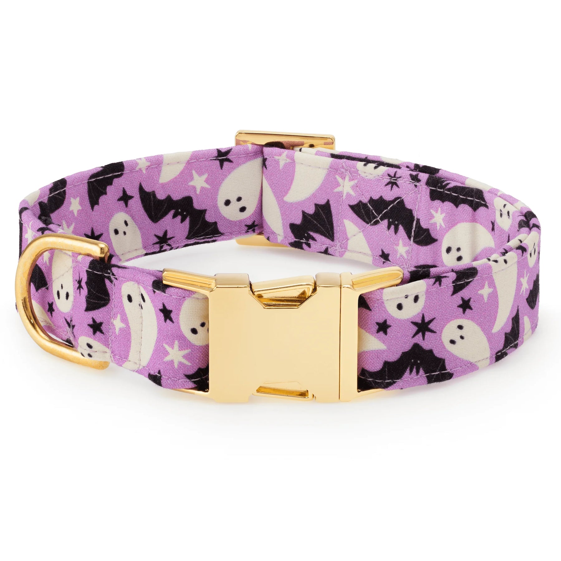 The Foggy Dog - Dog Collar Spooky Season Glow In the Dark