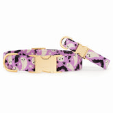 The Foggy Dog - Dog Collar Spooky Season Glow In the Dark