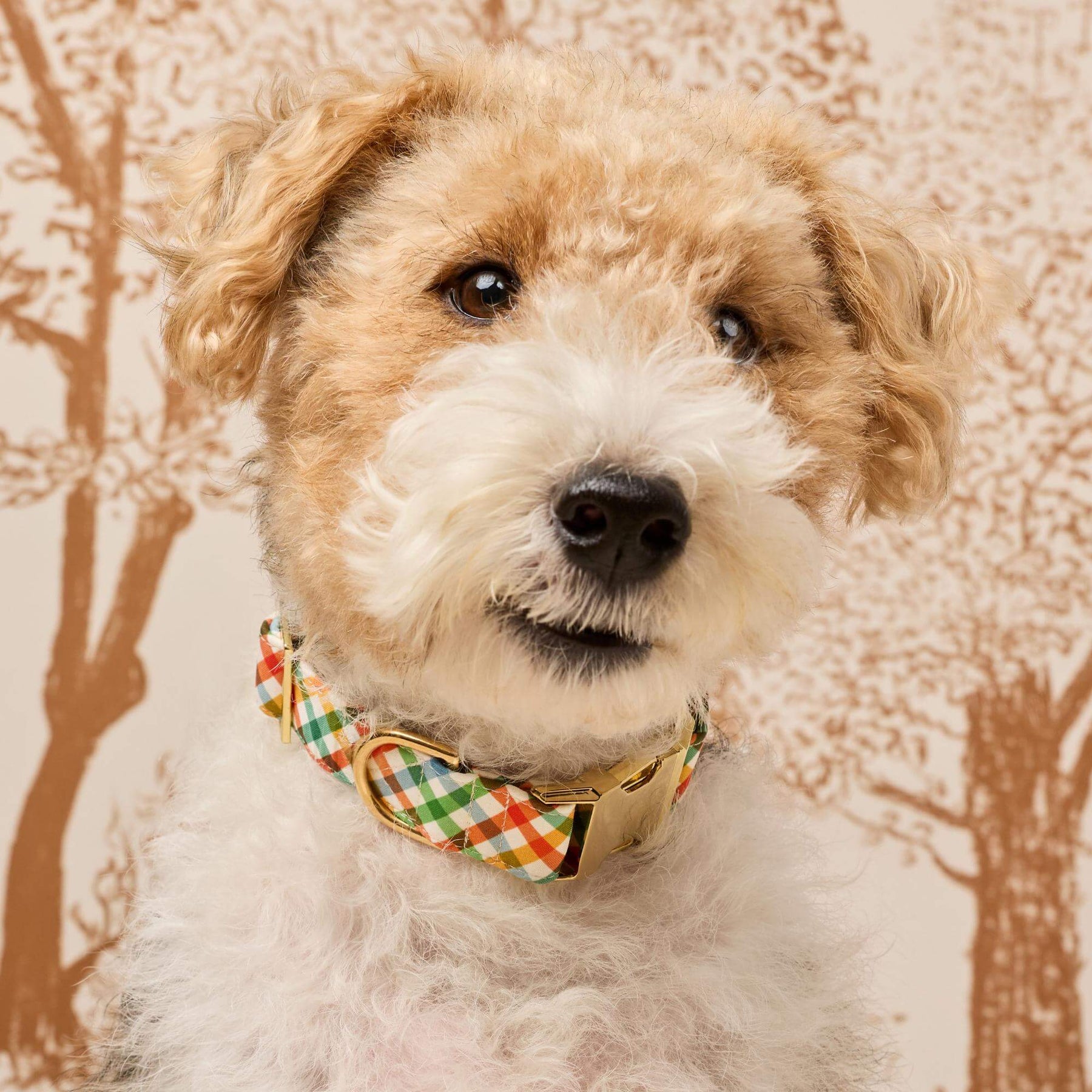 The Foggy Dog - Dog Collar Harvest Gingham