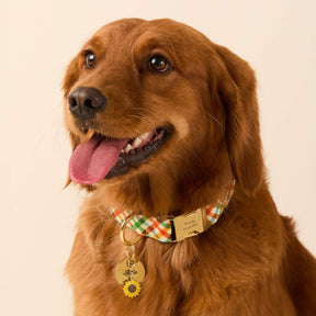 The Foggy Dog - Dog Collar Harvest Gingham