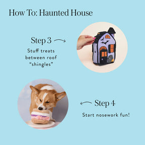 The Foggy Dog - Dog Toy Haunted House Interactive