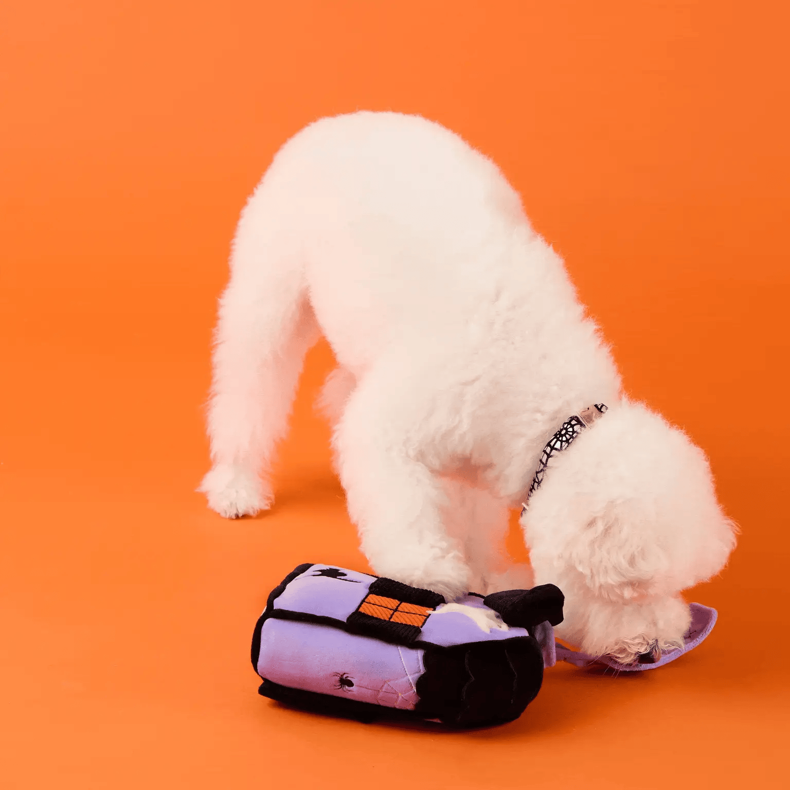 The Foggy Dog - Dog Toy Haunted House Interactive