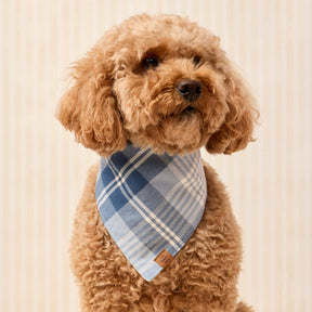 The Foggy Dog - Bandana Dog Hawthorne Plaid