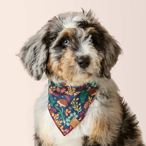 The Foggy Dog - Bandana Hedgehog Hollow - Southern Agriculture 