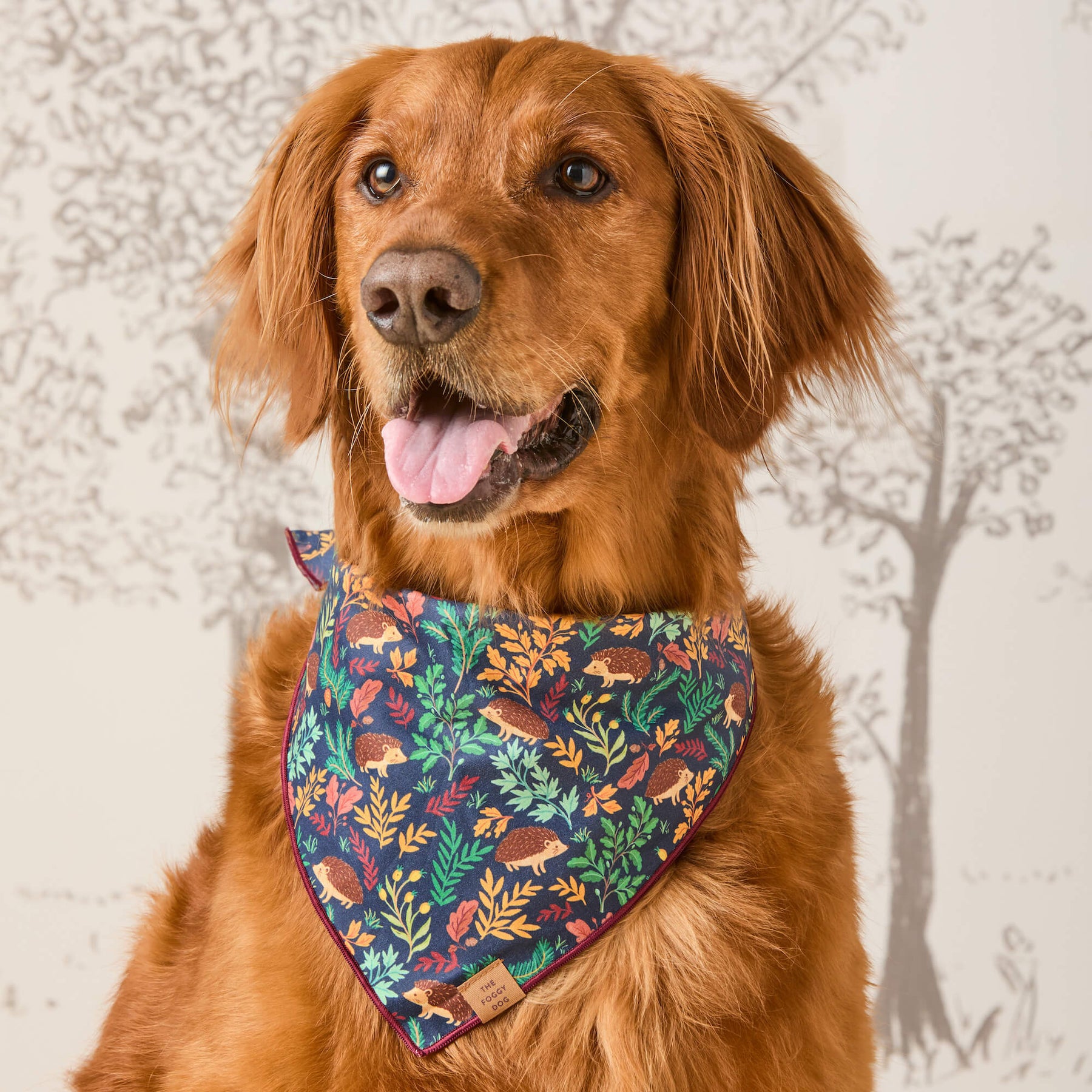The Foggy Dog - Bandana Hedgehog Hollow - Southern Agriculture 