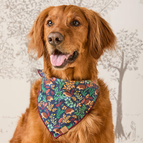 The Foggy Dog - Bandana Hedgehog Hollow - Southern Agriculture 