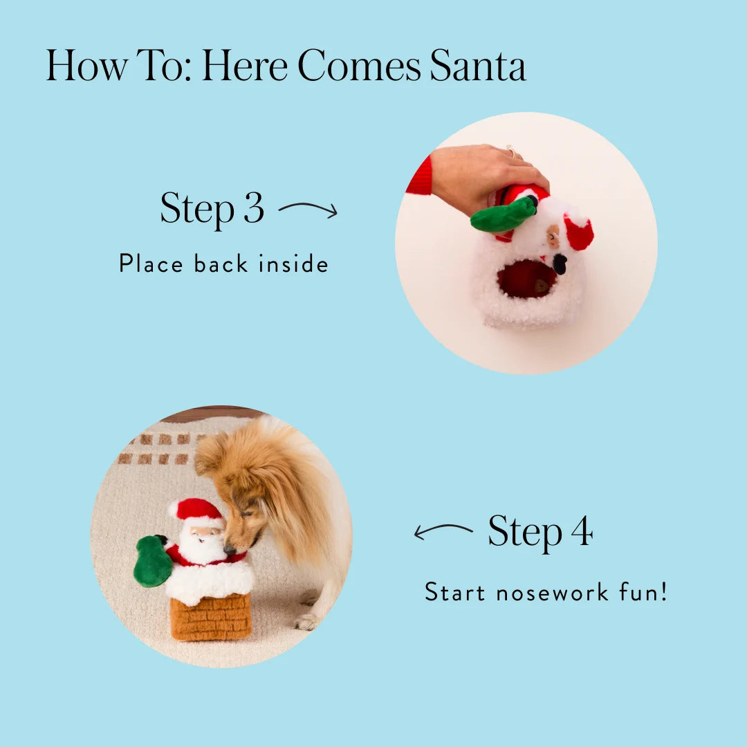 The Foggy Dog - Dog Toy Here Comes Santa