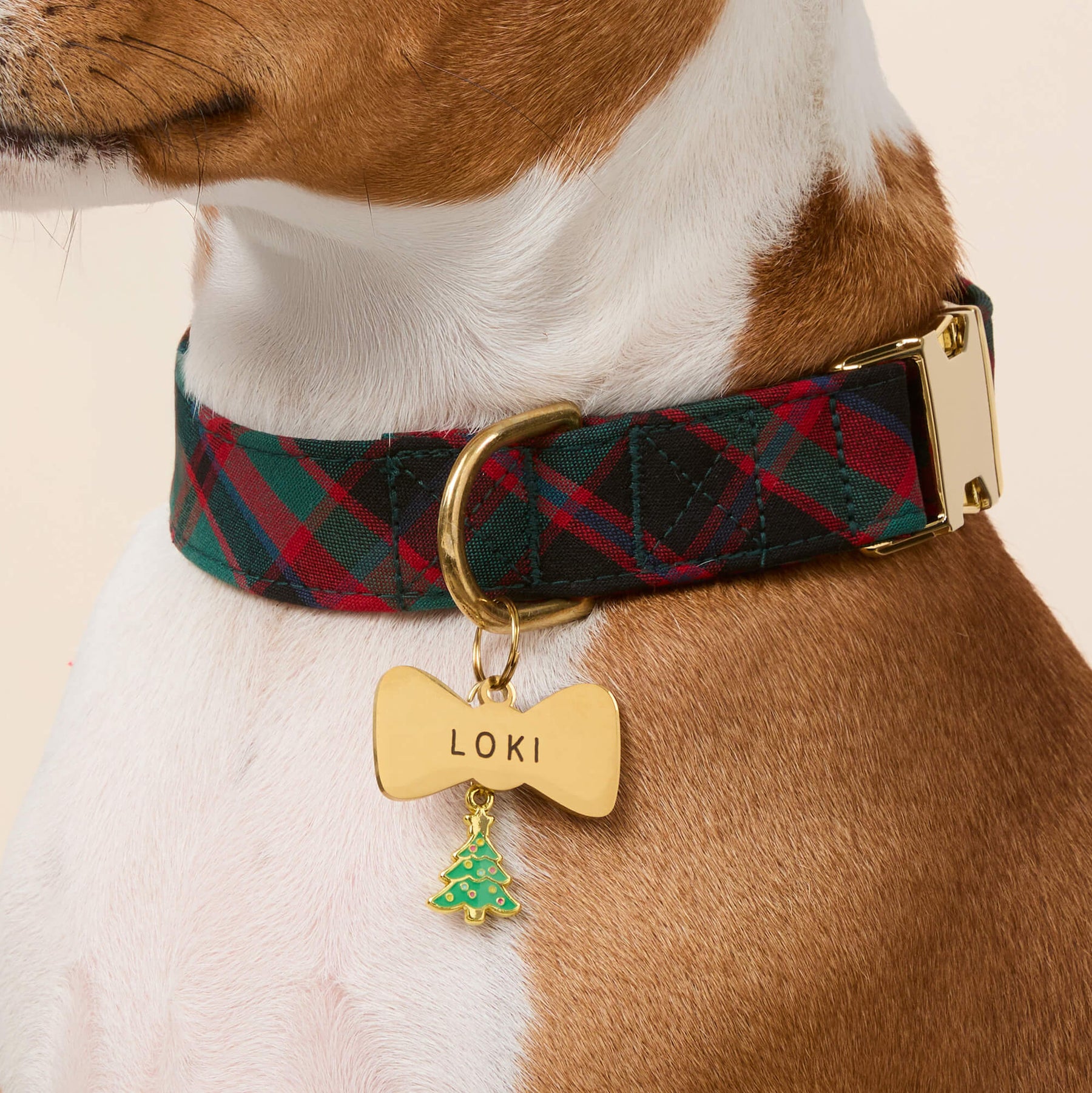 The Foggy Dog - Dog Collar Highland Plaid