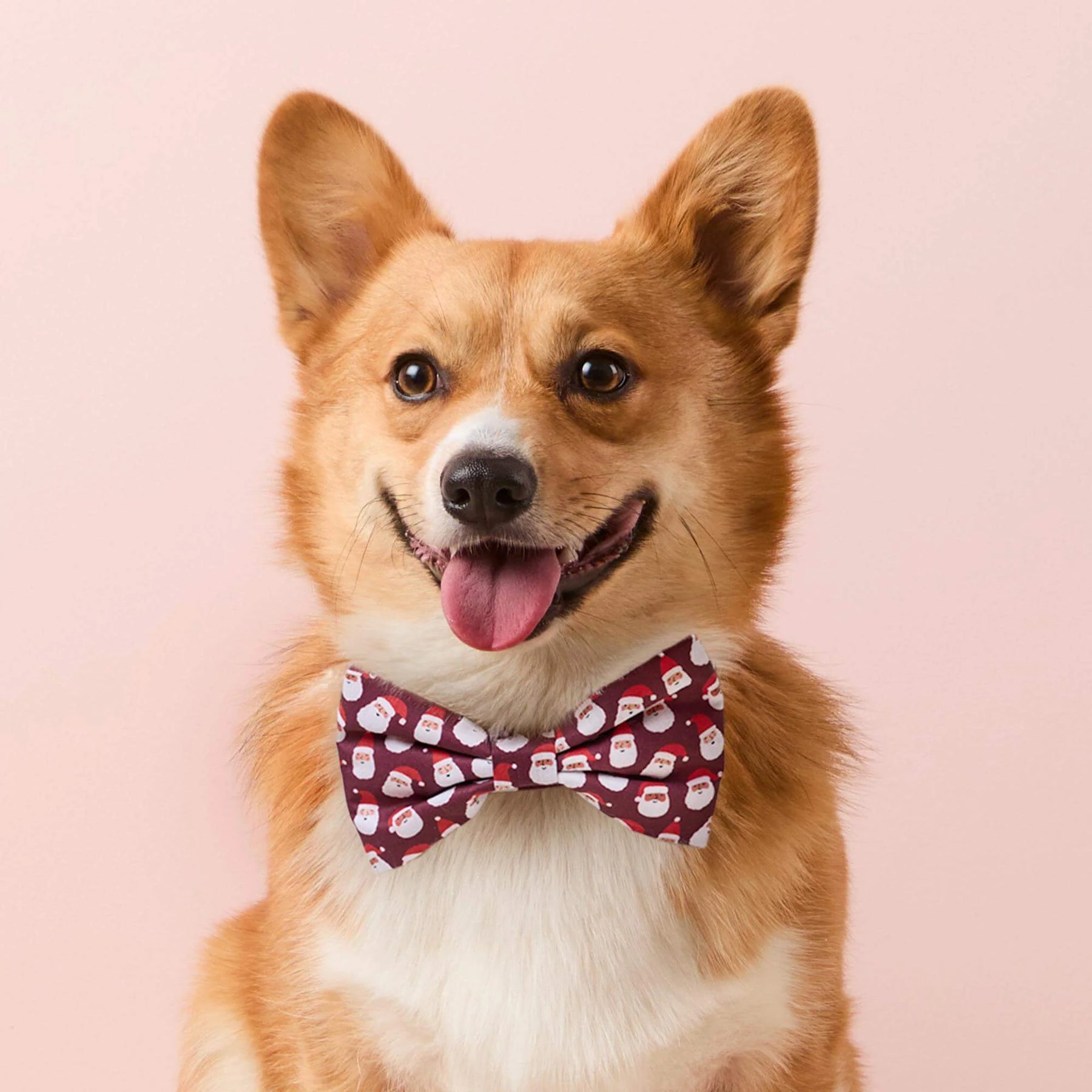 The Foggy Dog - Dog Bow Tie Ho Ho Ho!