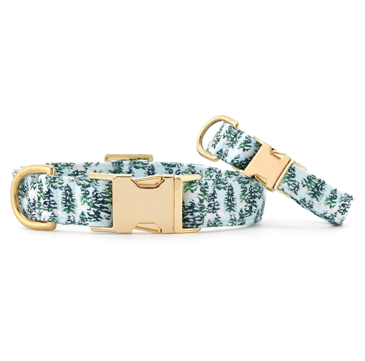The Foggy Dog - Dog Collar Gray Malin with Trees