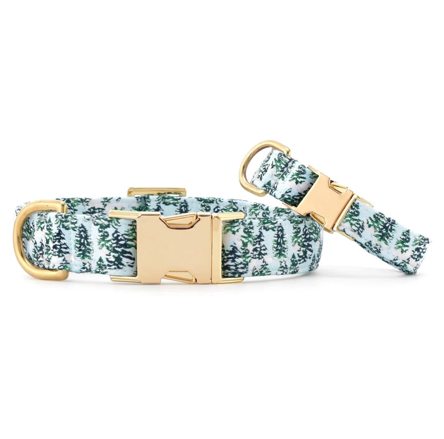 The Foggy Dog - Dog Collar Gray Malin with Trees
