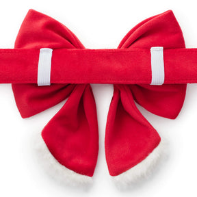 Foggy Dog - Dog Bow Lady Santa Paws