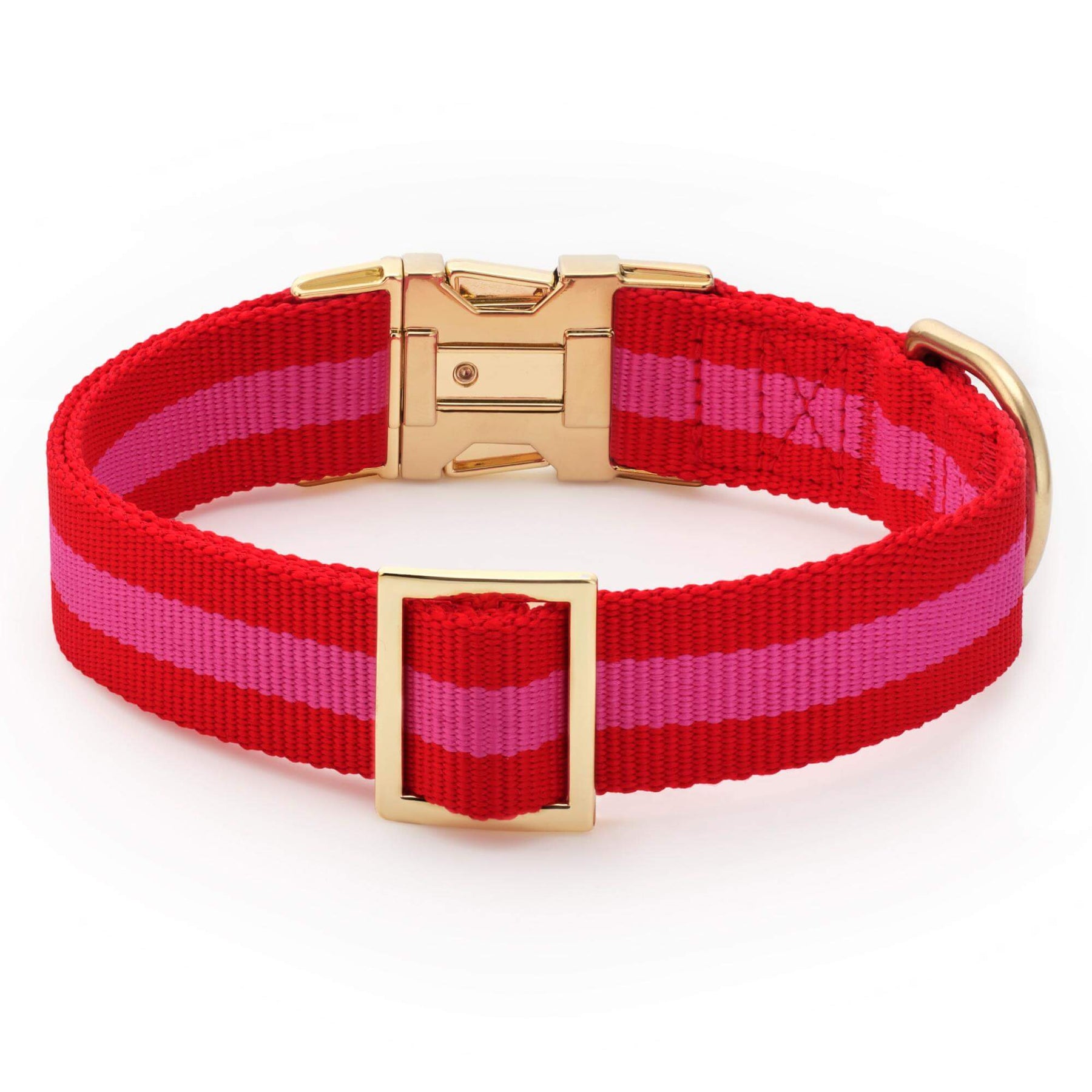 The Foggy Dog - Dog Collar Charlotte Stripped