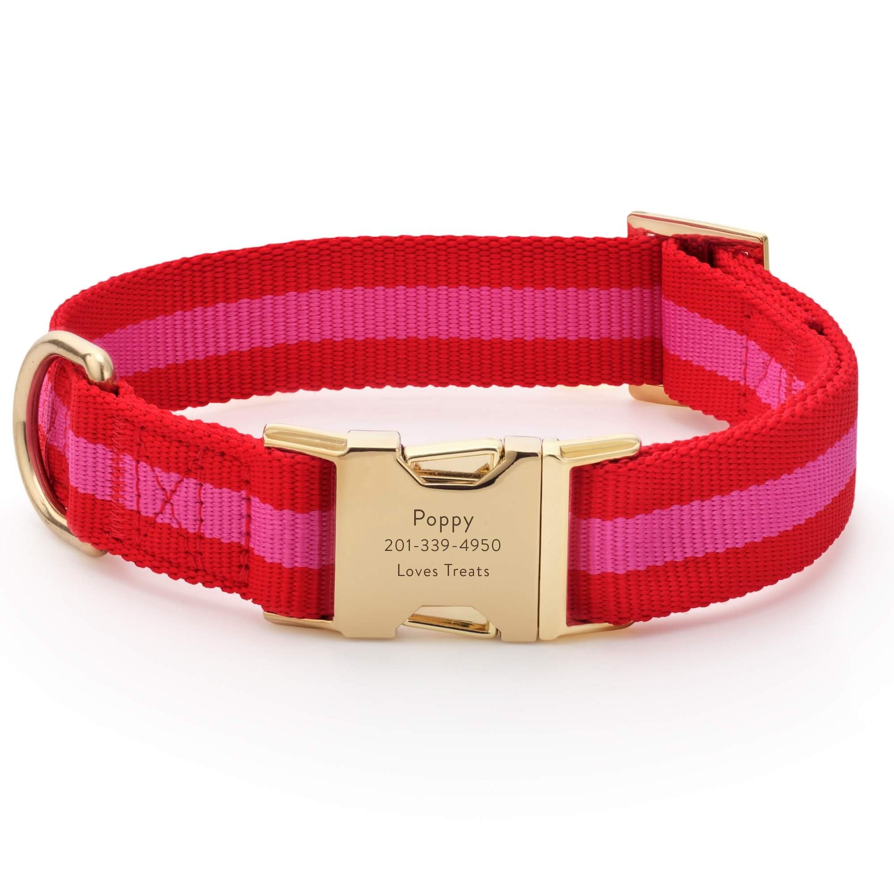 The Foggy Dog - Dog Collar Charlotte Stripped