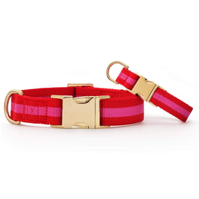 The Foggy Dog - Dog Collar Charlotte Stripped