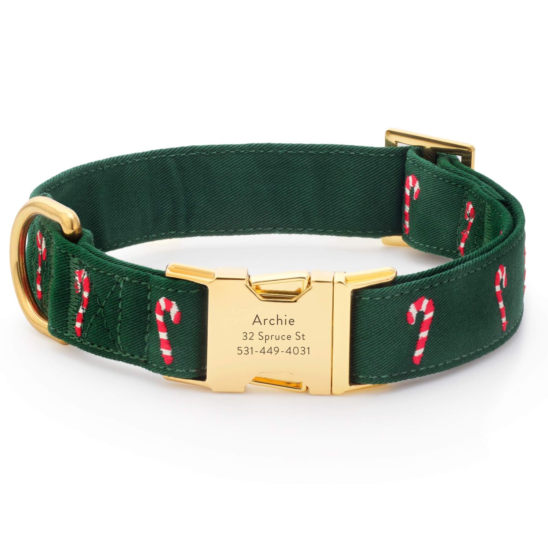 The Foggy Dog - Dog Collar Evergreen Candy Cane