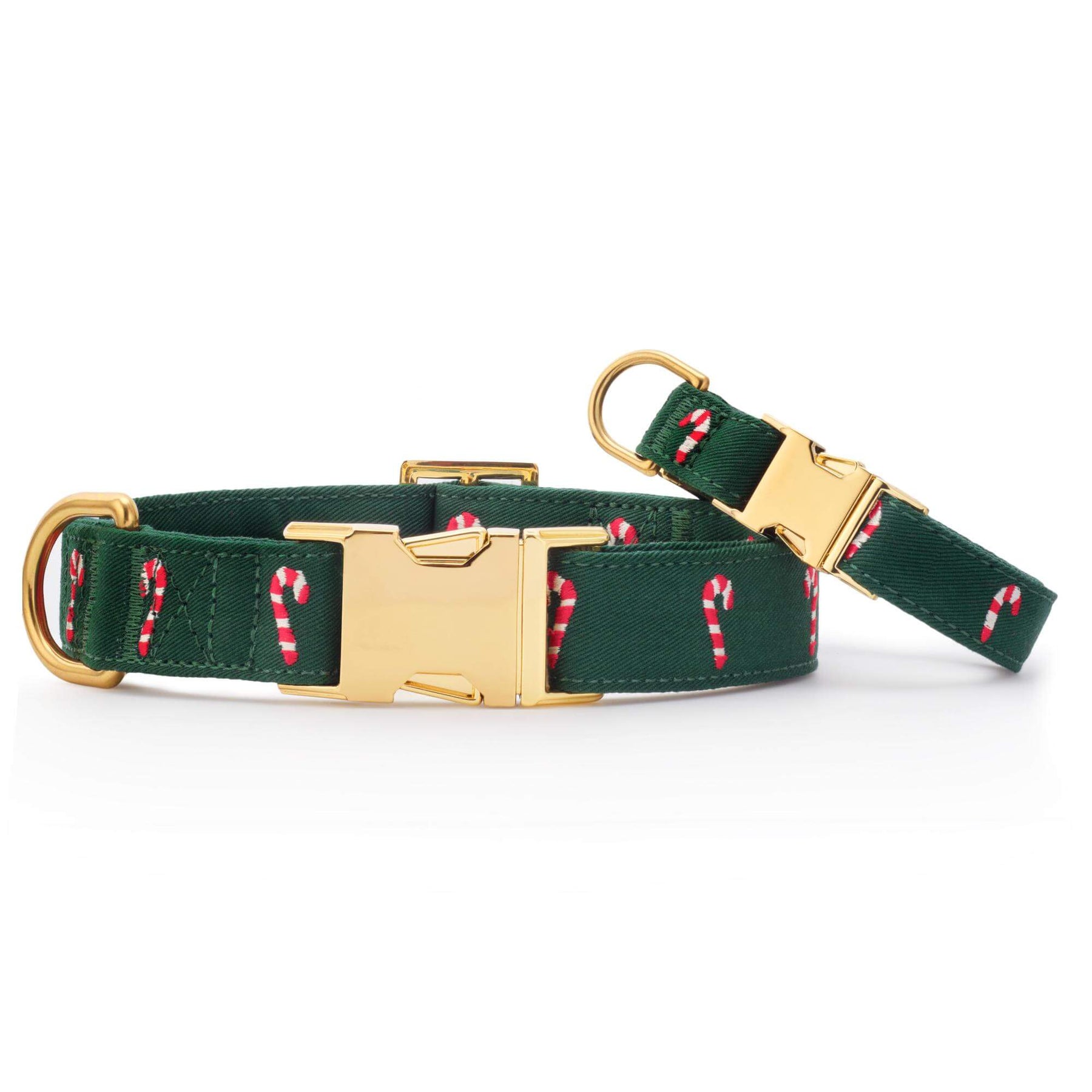 The Foggy Dog - Dog Collar Evergreen Candy Cane