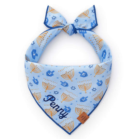 The Foggy Dog - Bandana Festival Of Lights
