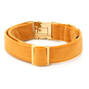 The Foggy Dog - Dog Collar Honey Velvet