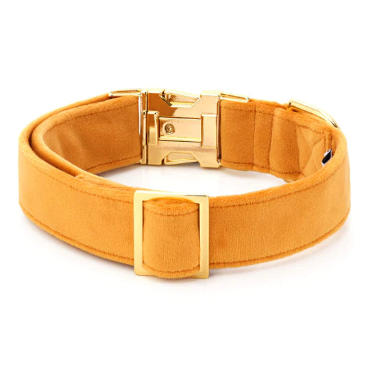 The Foggy Dog - Dog Collar Honey Velvet