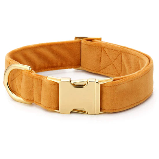 The Foggy Dog - Dog Collar Honey Velvet