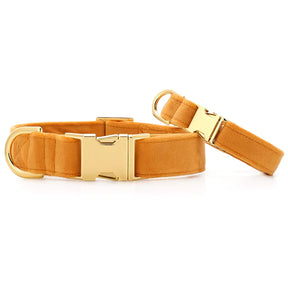 The Foggy Dog - Dog Collar Honey Velvet