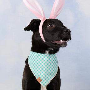 Foggy Dog - Bandana Dog Hoppy Easter Reversible