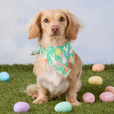 Foggy Dog - Bandana Dog Hoppy Easter Reversible