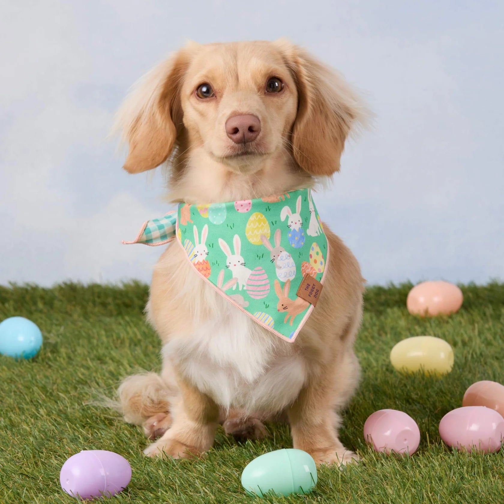 Foggy Dog - Bandana Dog Hoppy Easter Reversible