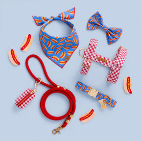 The Foggy Dog - Dog Collar Hot Diggity Dog